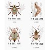 Affiche les Petites Bêtes du Jardin
