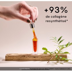 Concentré d’églantier